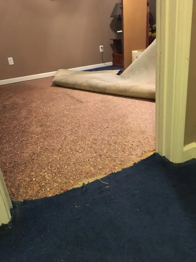 Carpet pad removal revealing water damage during Water Mitigation Services in Solon